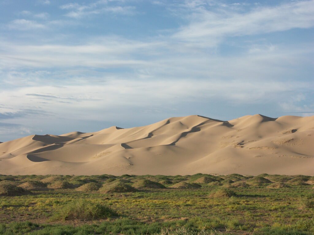 Do Deserto à Produção: O Que o Brasil Pode Aprender com a China no processo Contra a Desertificação